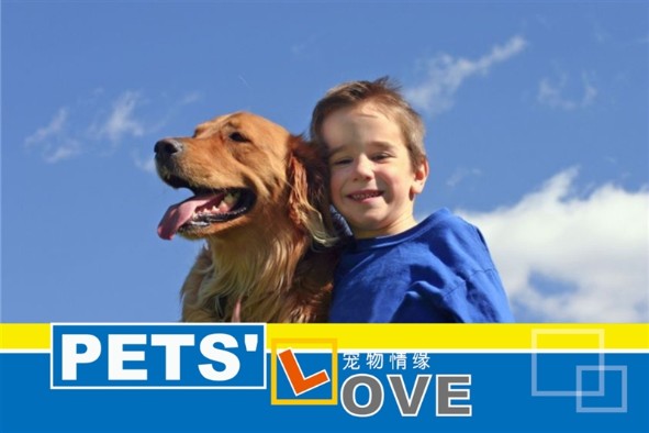 Others photo templates Pet Love